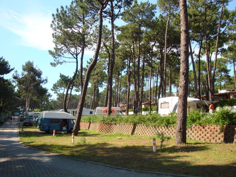 Parque De Campismo Orbitur Viana Do Castelo Otel Dış mekan fotoğraf